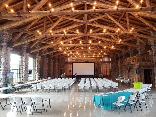 backyard movie screen